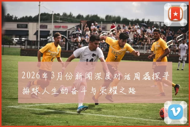 2026年3月份新闻深度对话周磊探寻排球人生的奋斗与荣耀之路