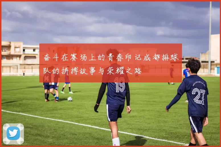 奋斗在赛场上的青春印记成都排球队的拼搏故事与荣耀之路